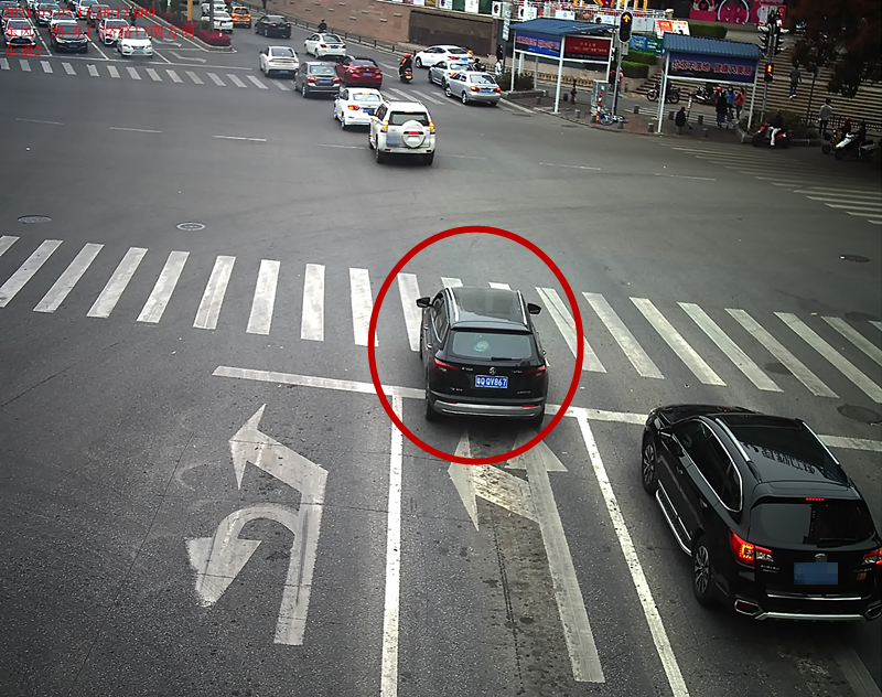 交通违法曝光！