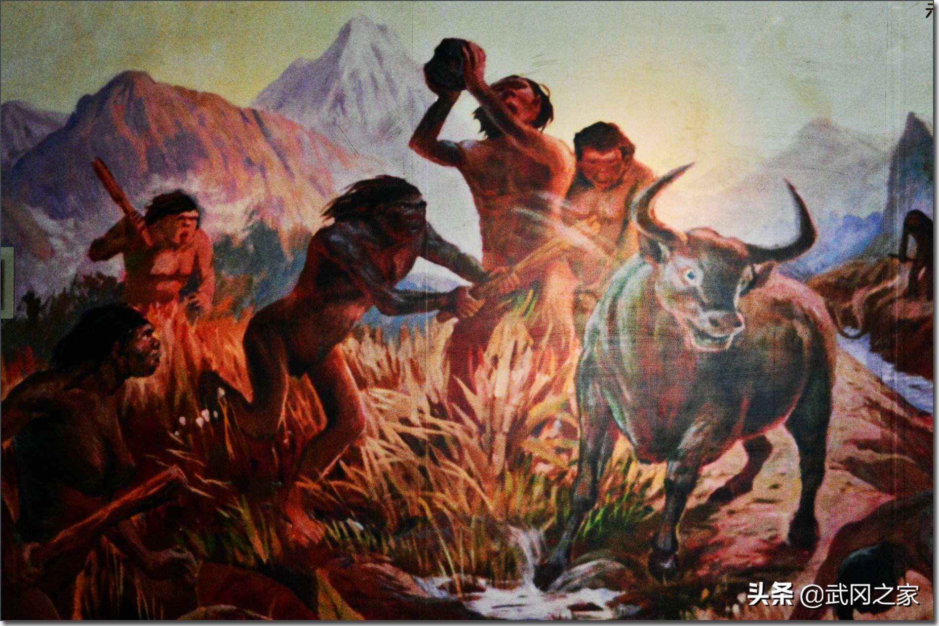 中国历史故事之元谋人(中国最早的人类)