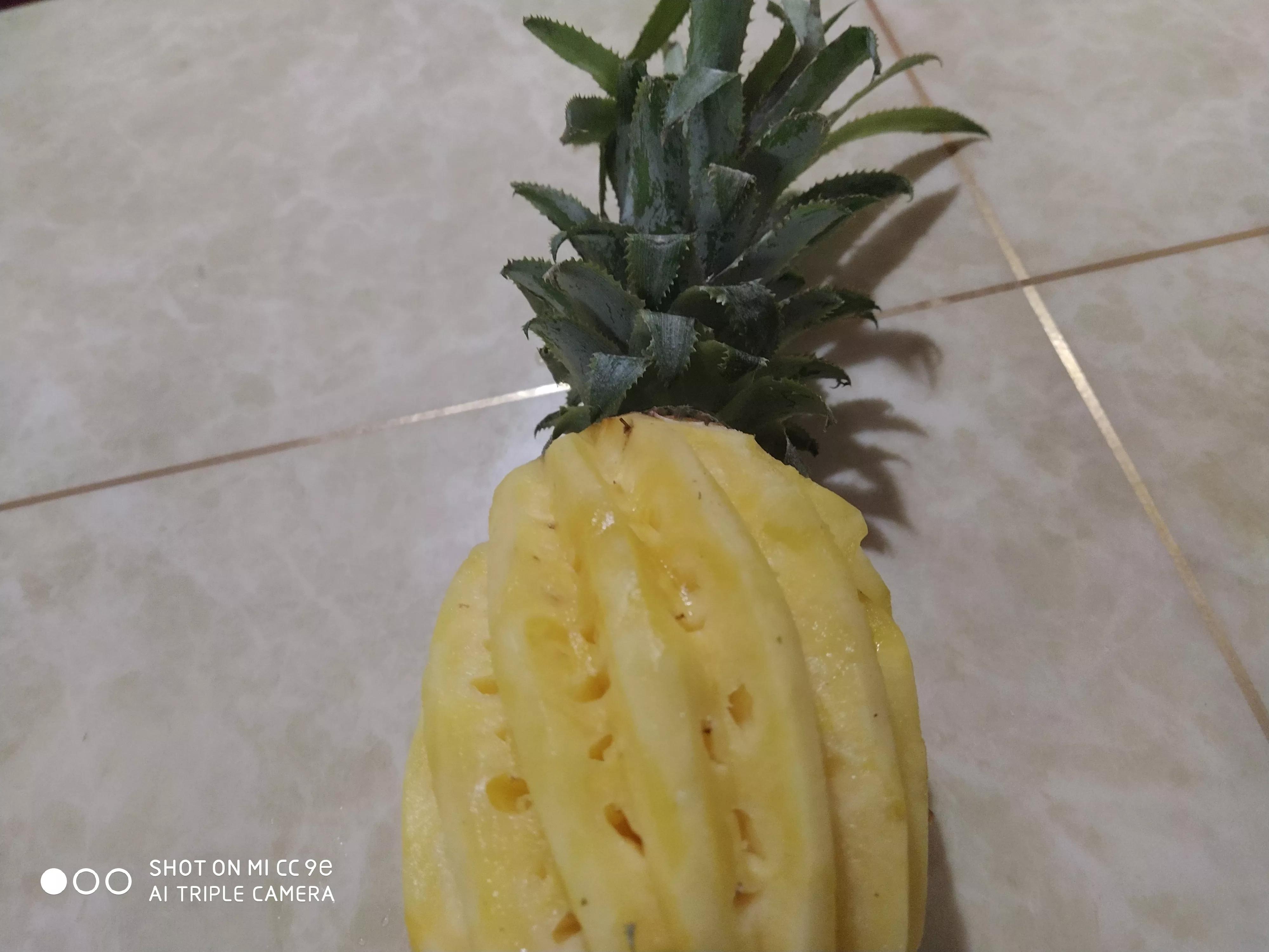 喝饱水的菠萝,菠萝_大山谷图库