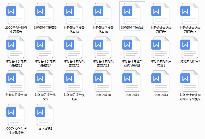 2020年最新财务实习报告模板，财务毕业生实习必备，为梦奋斗