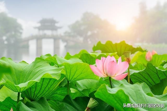 七佛译师两次“破戒”娶妻，因正史记载而扑朔迷离，今有望澄清