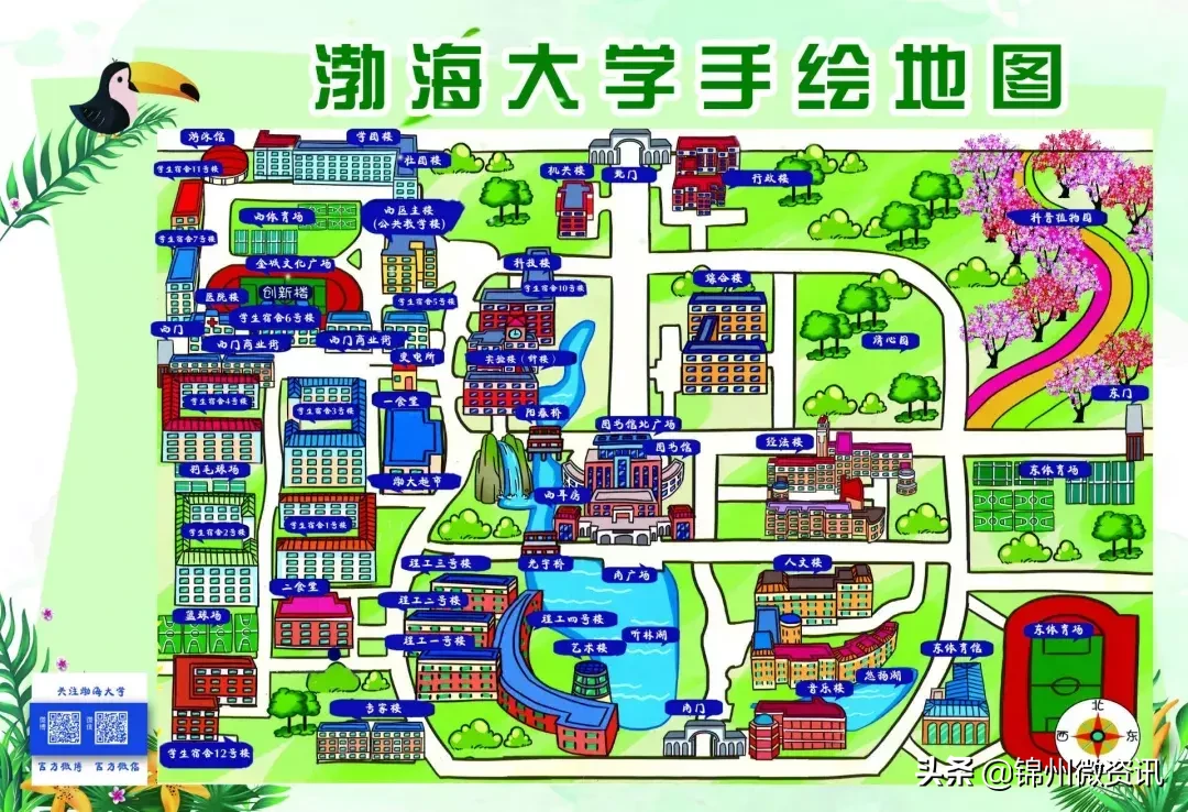 渤海大学关于报到的那些事儿！流程都在这里