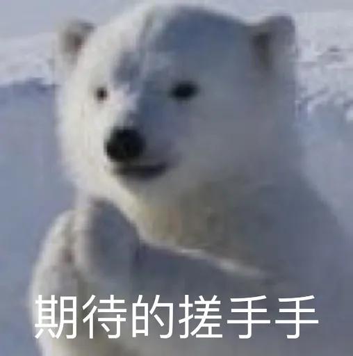 做了这么多次PPT(做了那么多)