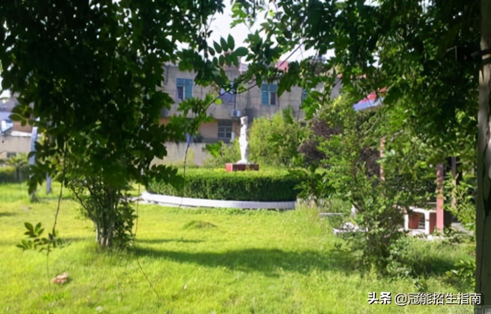 成都哪些卫校护理专业比较好-护理专业就业前「钱」景如何？