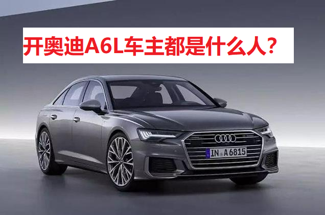 奥迪A6L油耗表现及车主人群特征分析