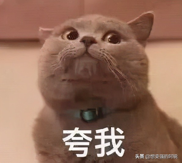康佳电视安装第三方应用教程，安装应用不麻烦，好歹销量榜前20呢