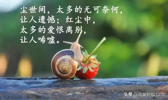 心情语录唯美短句：让人心情舒适的唯美句子图片