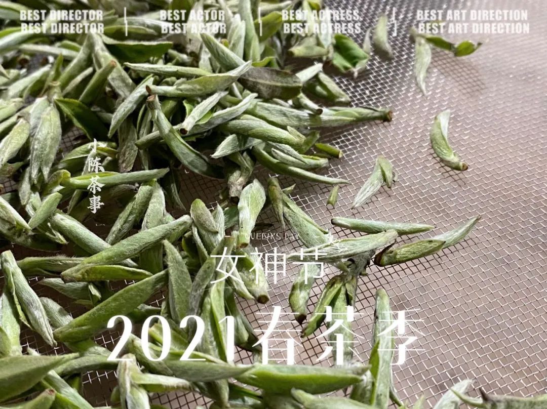 饼茶没有散茶好，寿眉不值钱，10个白茶偏心语录，你中了几个？