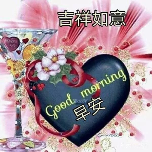 别惯坏，不领情的人； 别喂饱，不感恩的心，早安