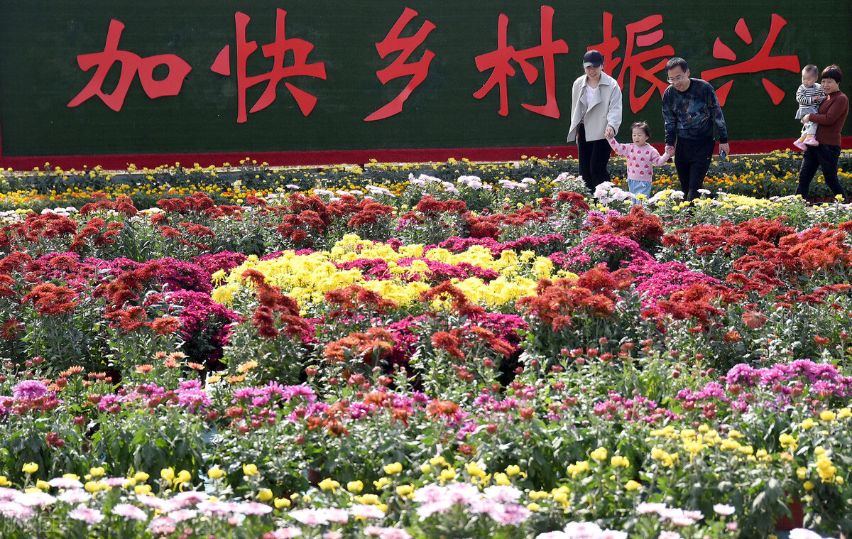 新农村建设的意义,新农村建设的意义是什么