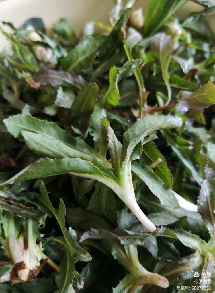 东北名菜——蘸酱菜