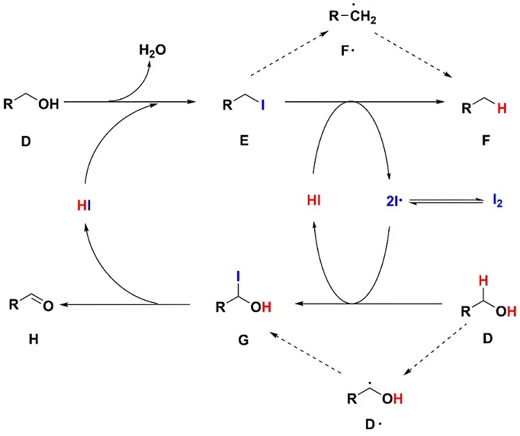 南昌大学杨维冉教授课题组碘催化最新研究工作概览