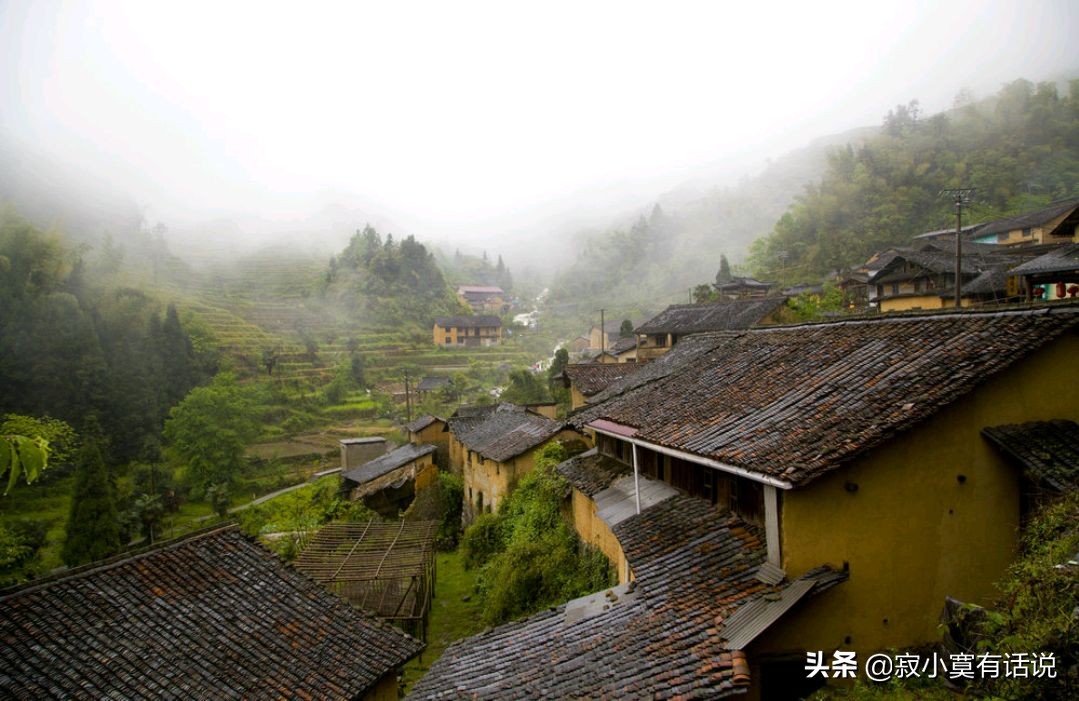 雨中的秋天（慢慢品读）