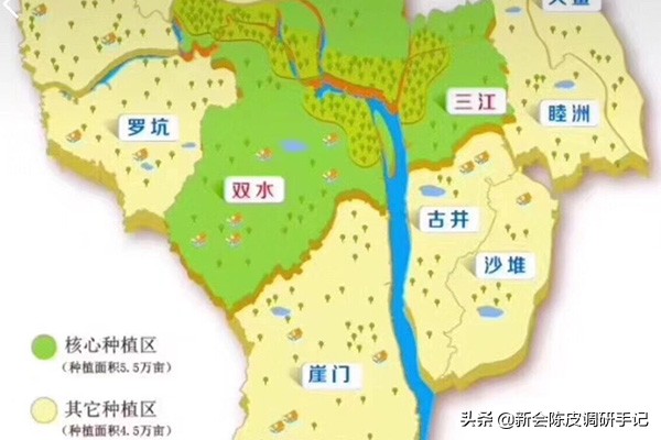新会陈皮“核心产区”被征地：“一线产区”在消逝，陈皮要涨价？
