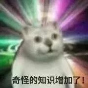 “奇怪的知识增加了！”什么梗？笑到抽搐
