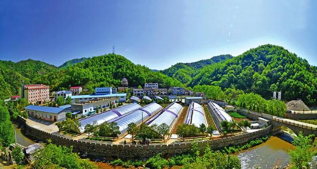 国家正在扶持这5类农业项目，最高补贴可达10亿