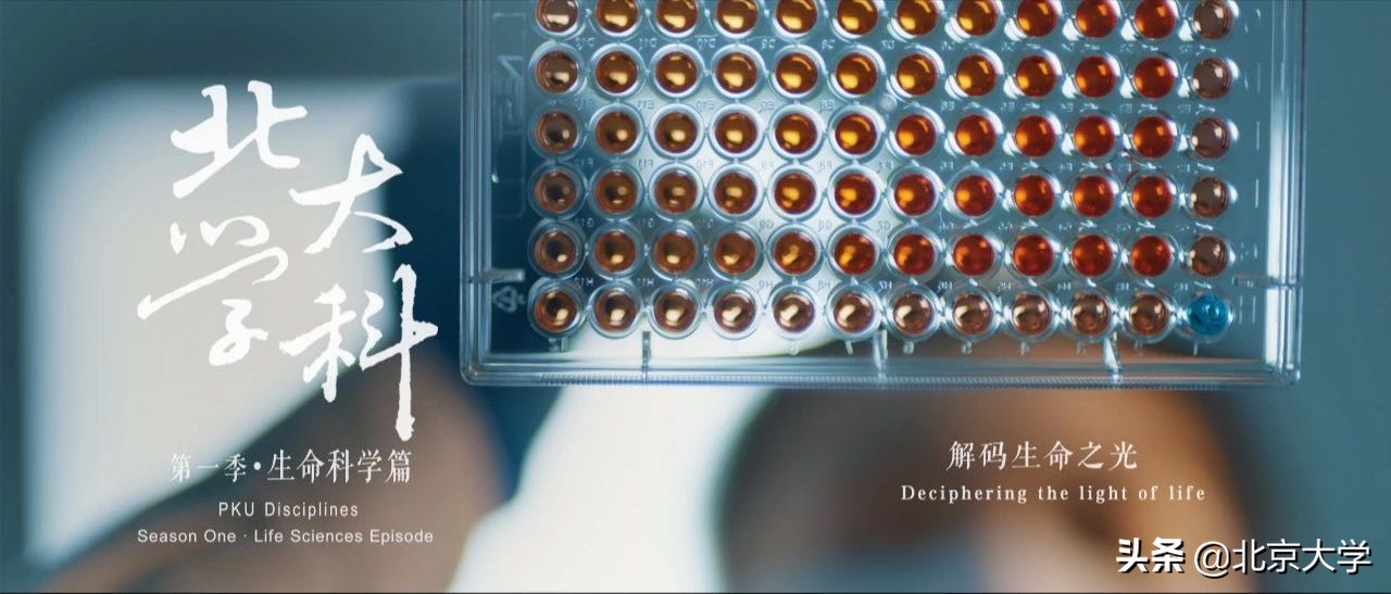 北大生命科学学院：揭开北大“鹿鸣学院”面纱，带你了解最前沿的生命科学