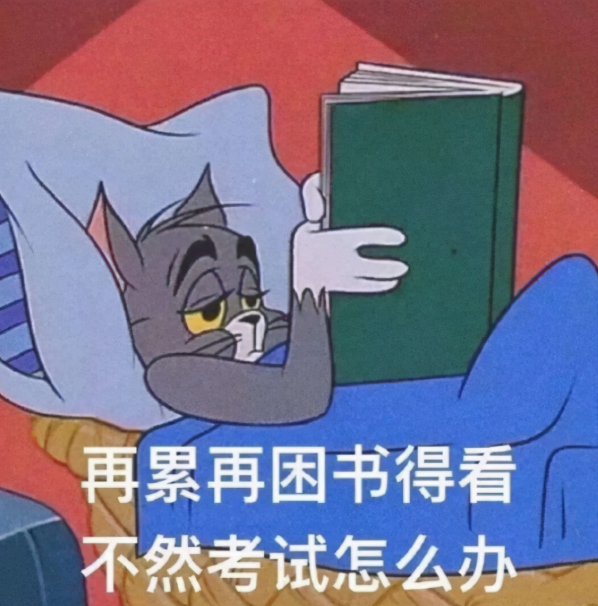 高考550分是什么水平（高考成绩500和600分）