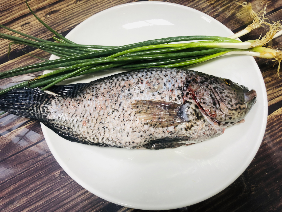 所需用料:花斑鱼1条,葱几棵,蒸鱼豉油清蒸花斑鱼