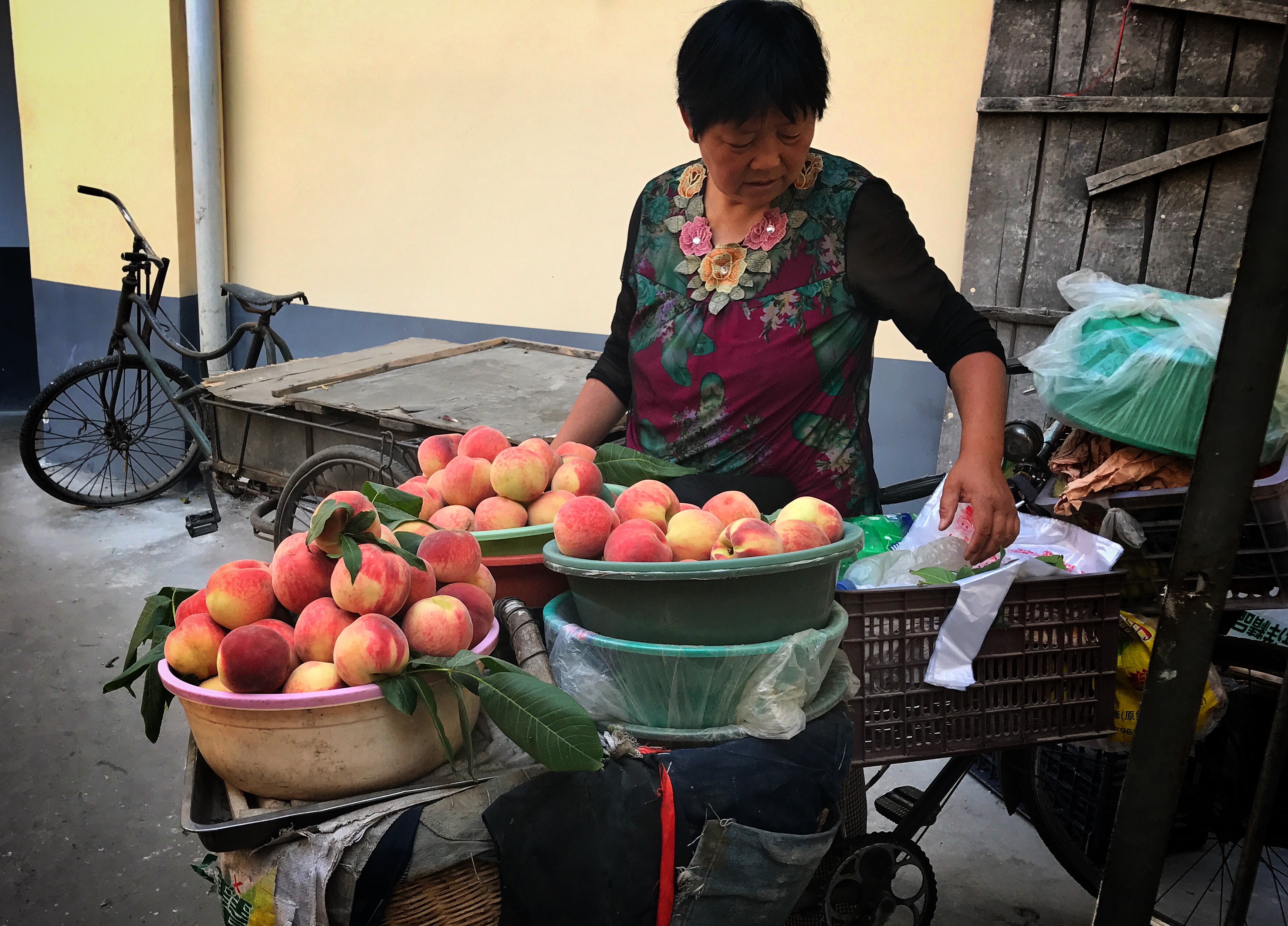 2017，一家三口30天的南疆之旅（2）：回到铜川