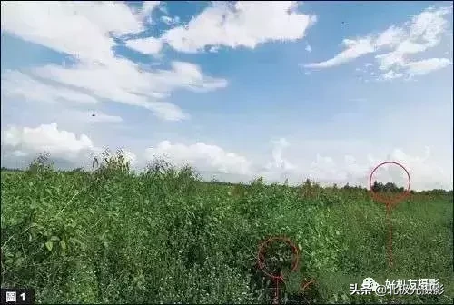 构图取景的10大禁忌