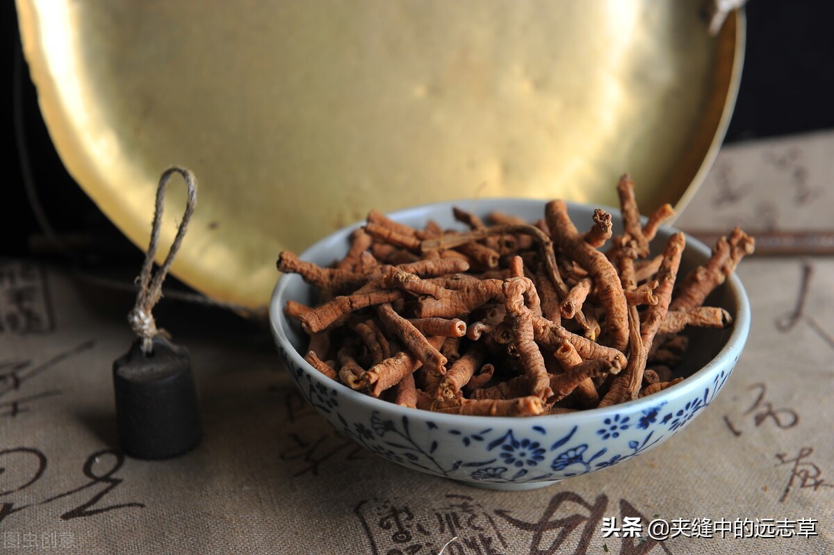 阴阳两虚，脾肾不足？一剂还少丹，阴阳双补，补脾益肾，交通心肾