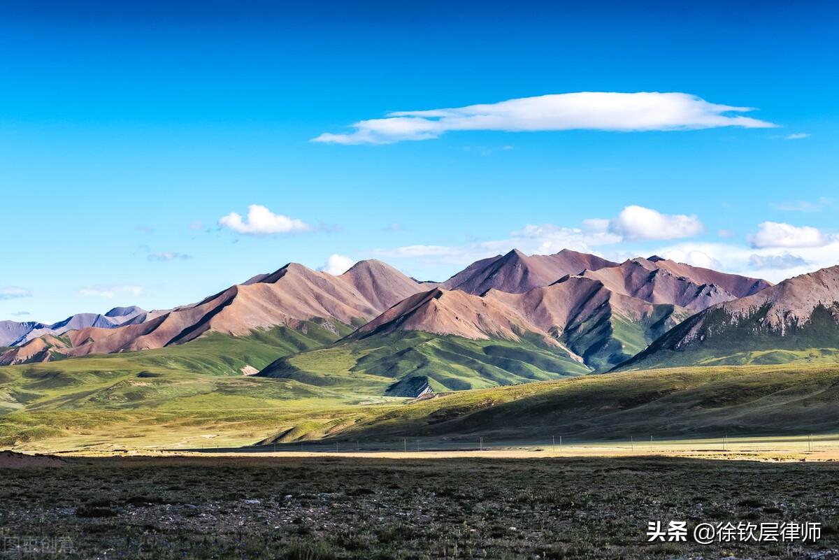 律师专业（律师专业之路6）