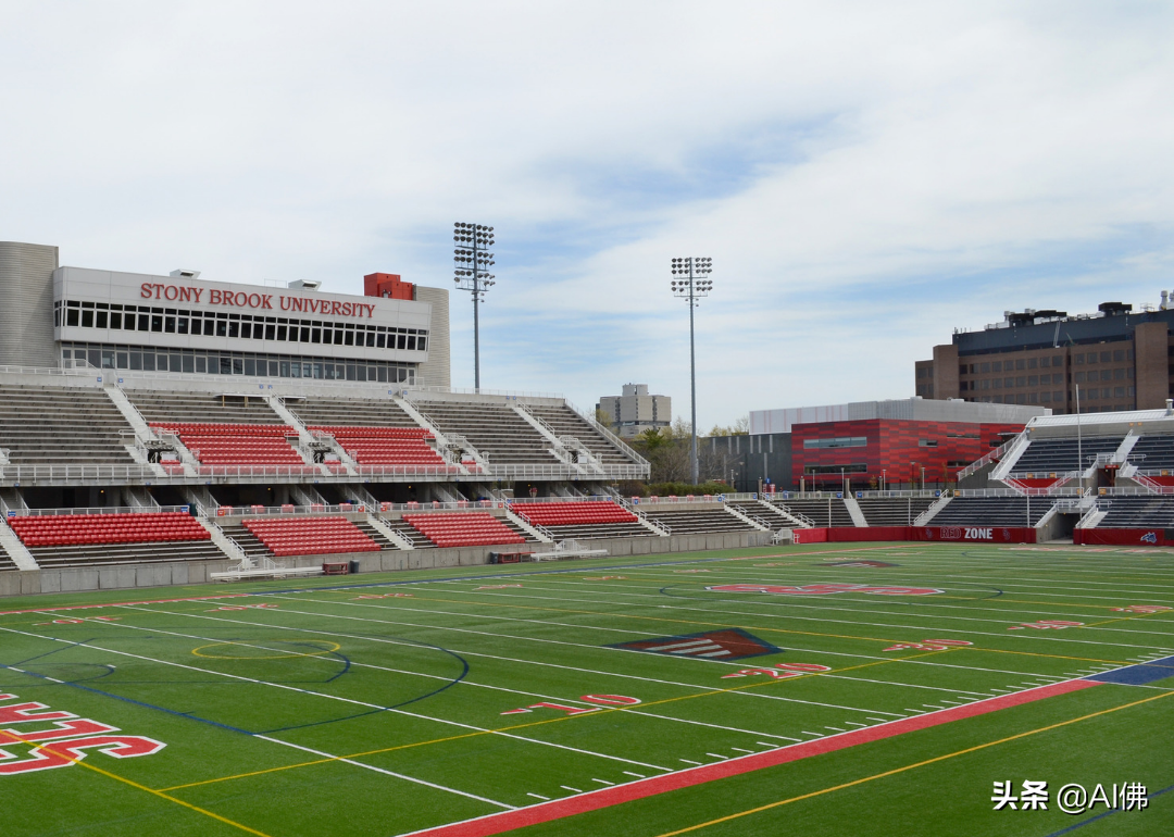 美国最自由的公立大学