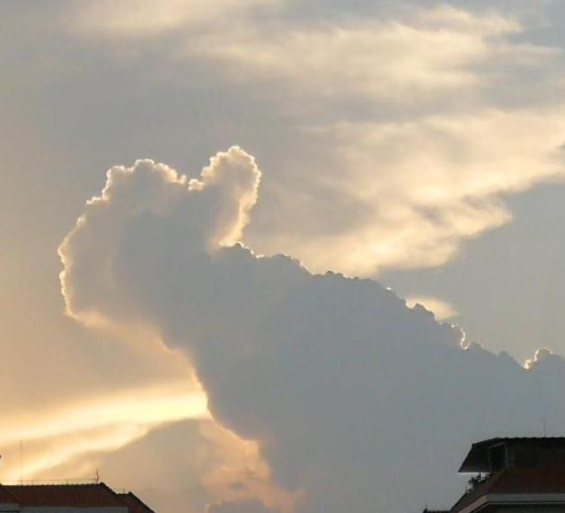 哪里不会点哪里高考（那些年的爆笑高考段子）