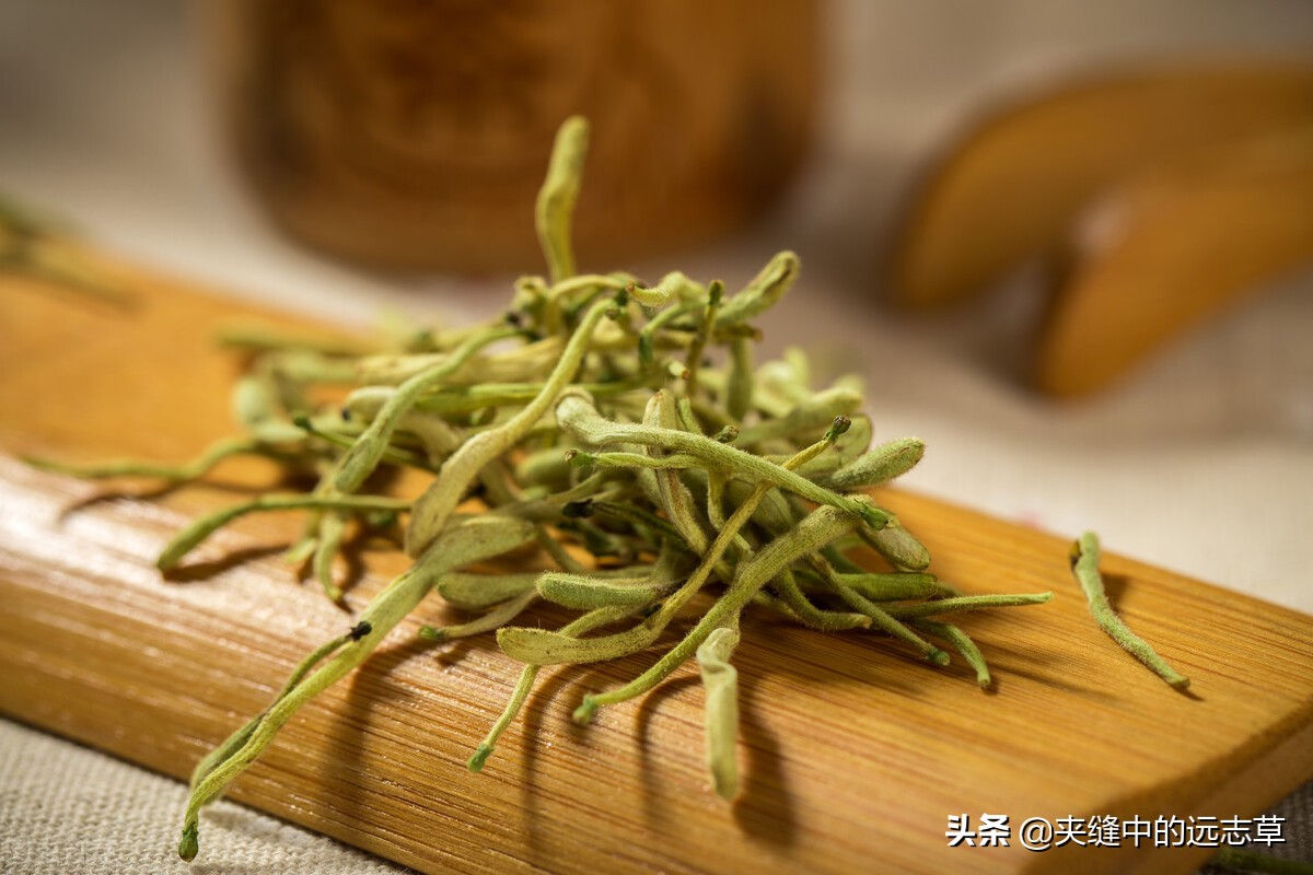 糖尿病，消渴症？送你六味中药，滋阴降火，健脾益胃，还可解毒