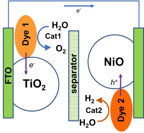 首次突破！陕西3项最新科研成果登上国际顶级期刊