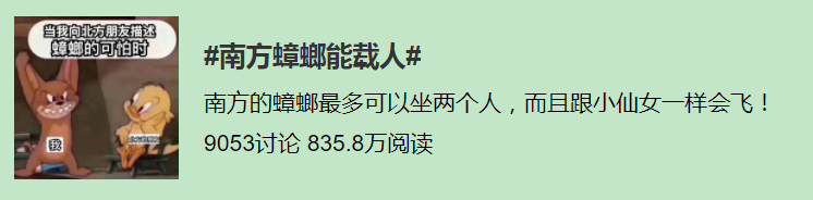 广州一大厦“两眼发光”似蟑螂，北方网友吓坏:南方蟑螂这么大?