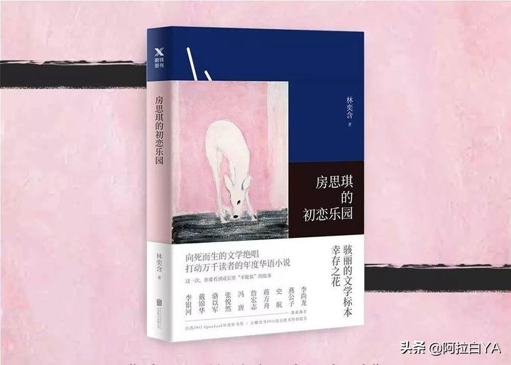 《房思琪的初恋乐园》：当所有人活在梦里，现实是对受害者的凌迟