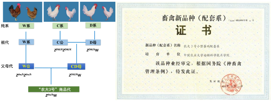 从被制约到领先国际，这所“国字号”大学创下多个“首次”，打破国外垄断！