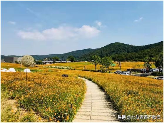 致自己 | 那年，你30岁