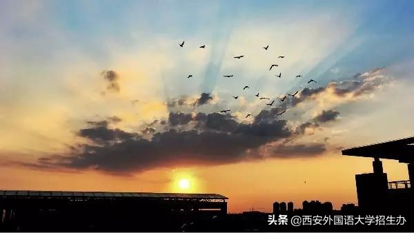 今天，带你用英语