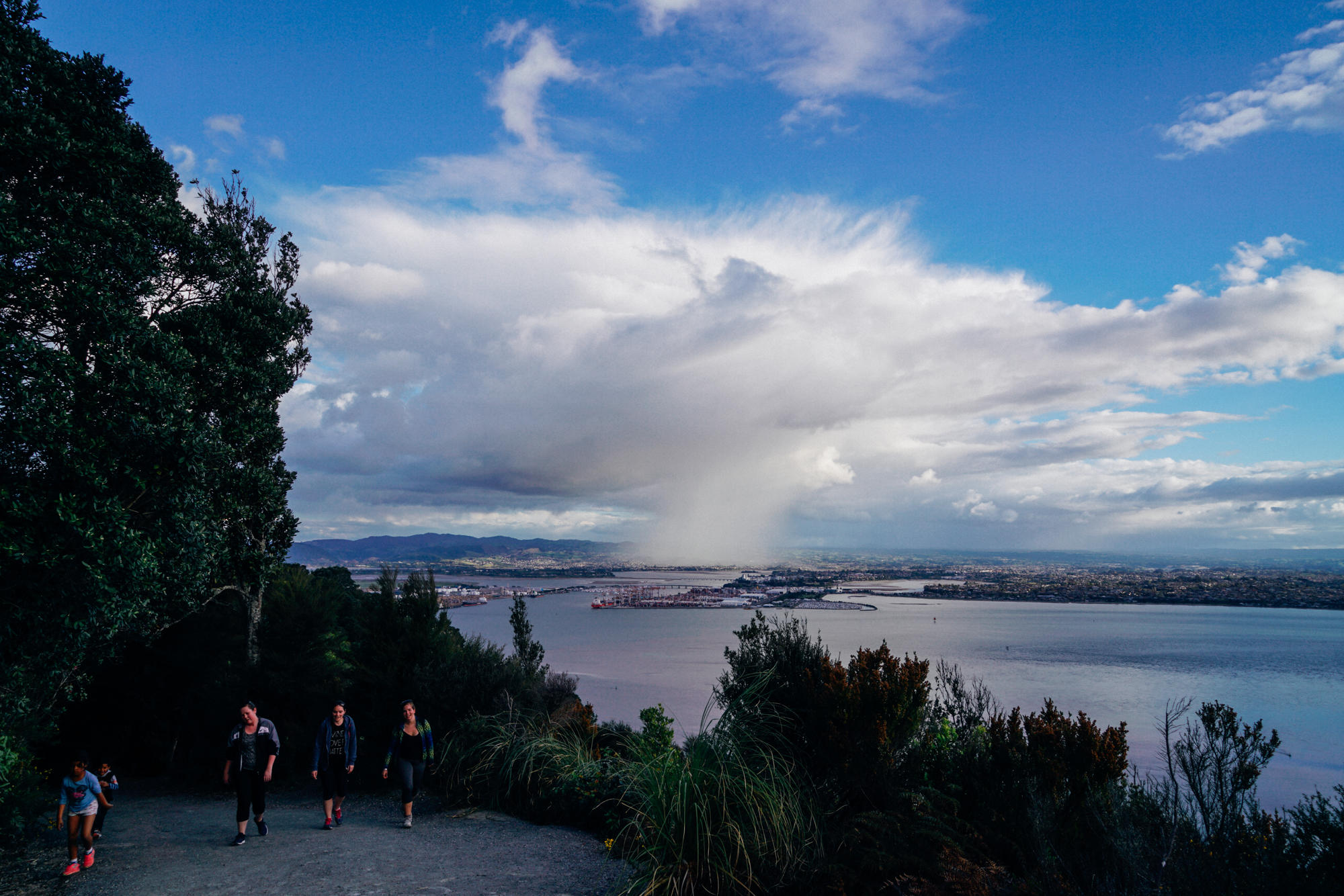 为何国人不爱去的新西兰北岛,拥有杰出的匠人和神奇的自然风景?