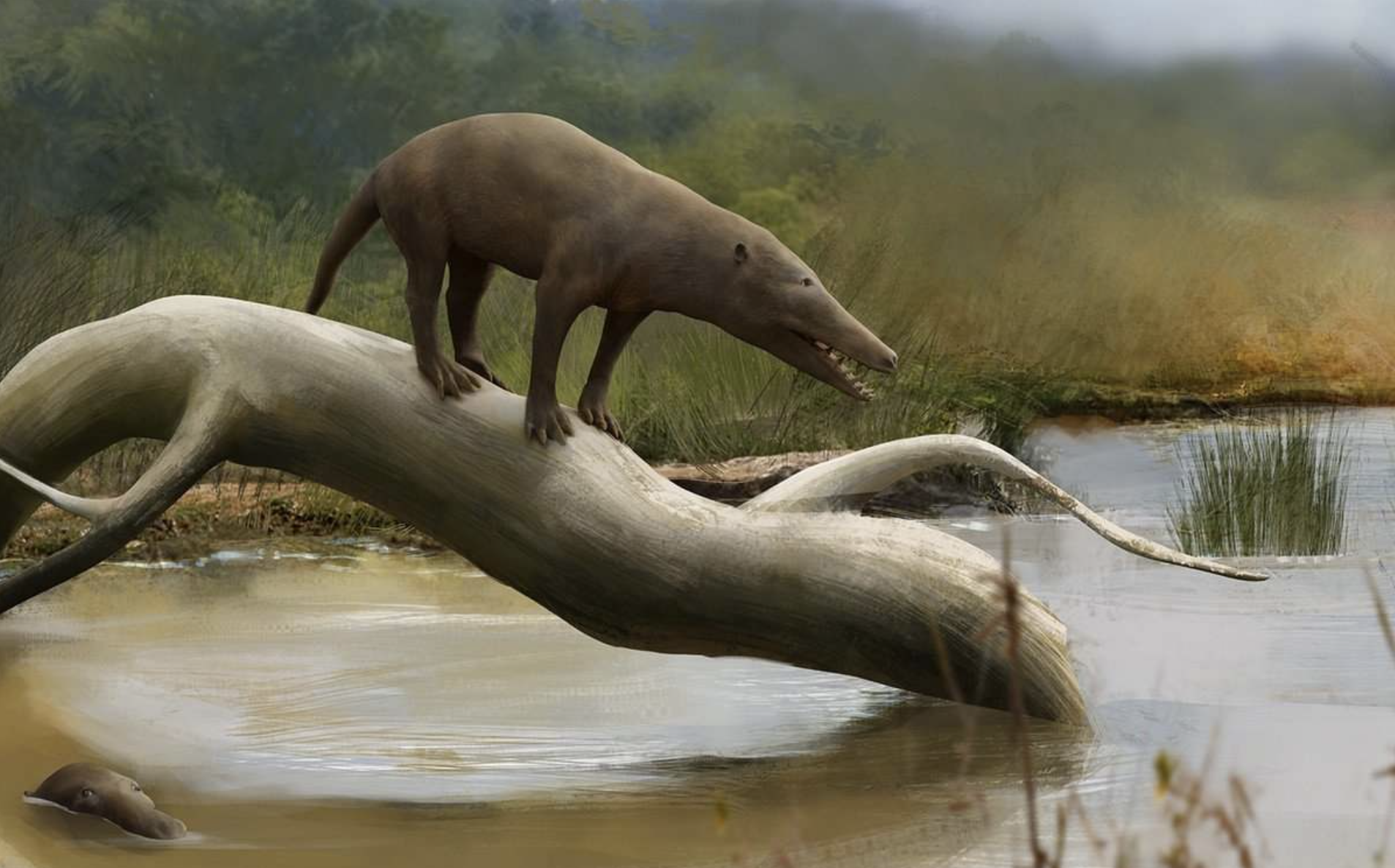 5500万年前,地球发了一次"高烧",孕育了史上最大的蛇