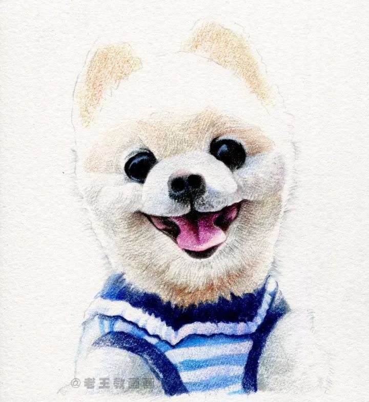 的毛发;然后用43号棕色叠加着画毛发;用42号橙色平涂额头和下巴的毛发