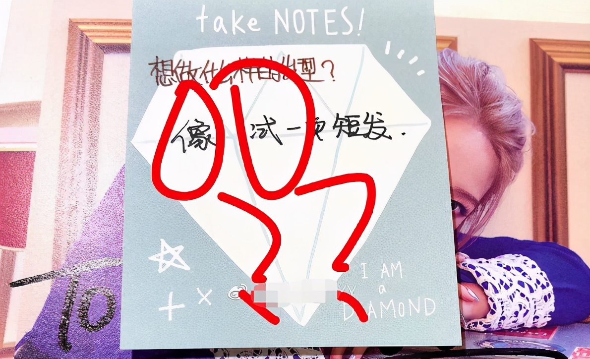 内娱组合学历汇总，TFBoys、X玖成典范，R1SE垫底