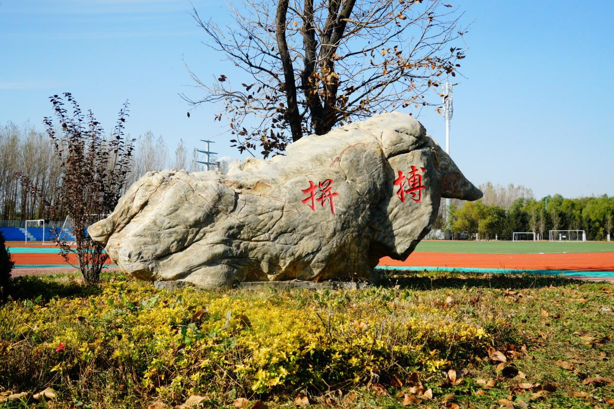 辽宁现代服务职业技术学院校徽：以礼服人 求知务实