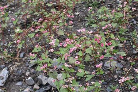 九江哪些专科学校好，见九江专科批分数线排名
