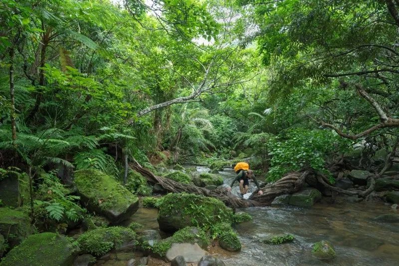 水上由纪恵(不打卡无线路，LP带你换种方式探索日本)