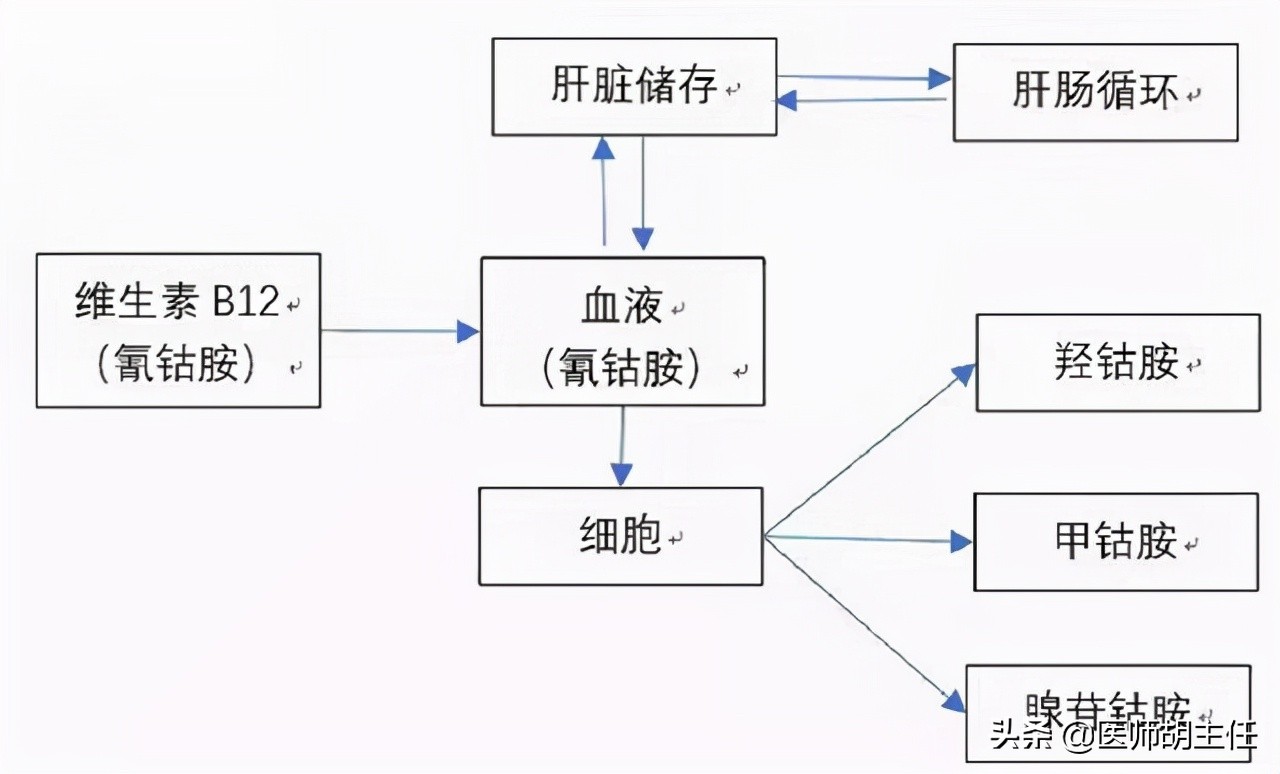 甲钴胺可以修复受损神经，能够用于这3种常见病的治疗，好用