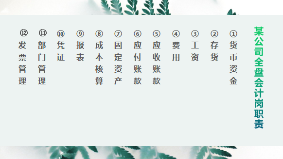 “全盘会计”解读，萌新必看，快收藏，这波操作优秀！