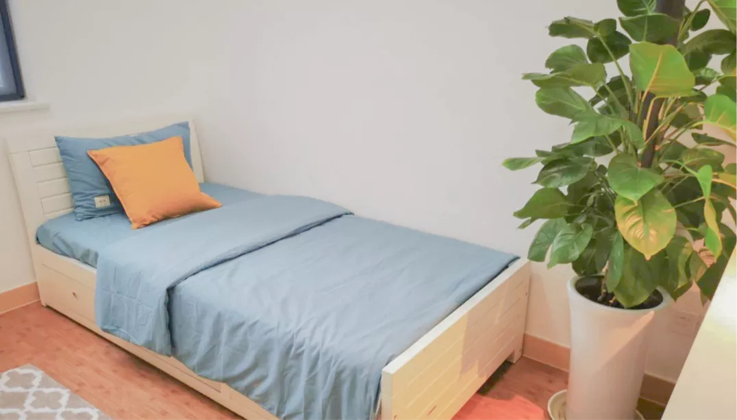 均价一年30万以上，国际学校的学费真的值吗？花在哪了？