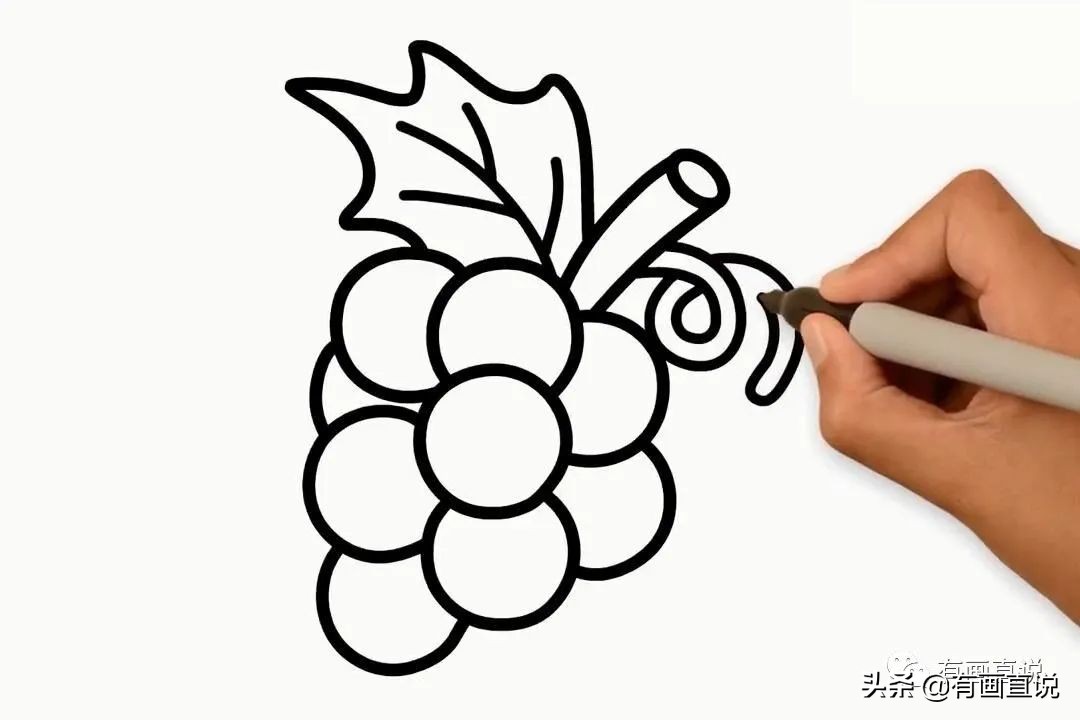 儿童画简笔画临摹素材52张：水果系列画法，收藏备用，在家学画画