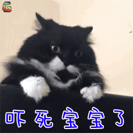 郑爽疑美国代孕2子，啥是代孕？为什么中国要禁止代孕？