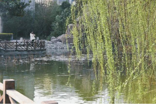 河南历史名城中的“实力高校”，科研硕果累累，选择它有这十大理由！