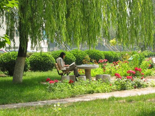 两所高校，一所双一流，录取分530—580左右！各具特色，值得报考